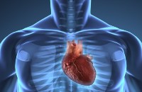 CardiovascularHealth